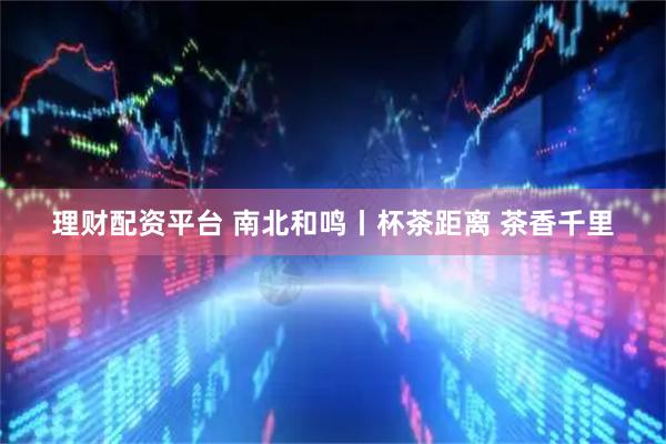 理财配资平台 南北和鸣丨杯茶距离 茶香千里