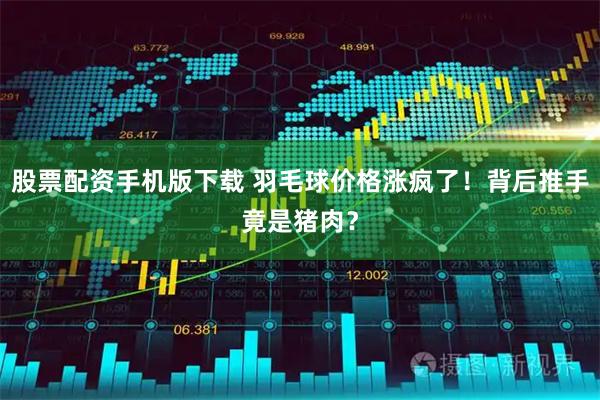 股票配资手机版下载 羽毛球价格涨疯了！背后推手竟是猪肉？