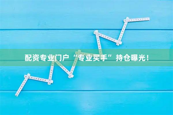 配资专业门户 “专业买手” 持仓曝光！