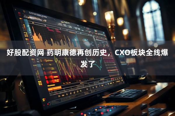 好股配资网 药明康德再创历史，CXO板块全线爆发了